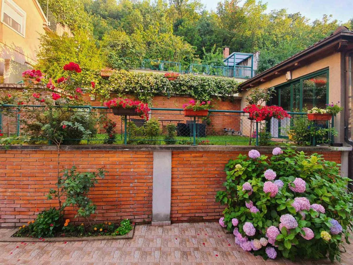 Aya - With Sauna And Outdoor Swimming Pool Mostar