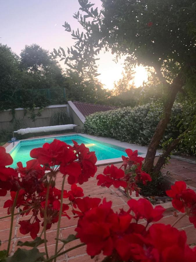 Aya - With Sauna And Outdoor Swimming Pool * Mostar